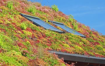 Newton Mearns living roof systems