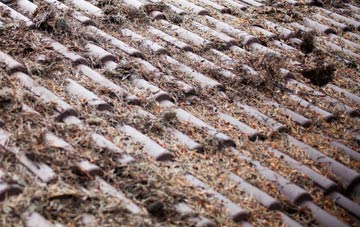 Newton Mearns roof cleaning companies